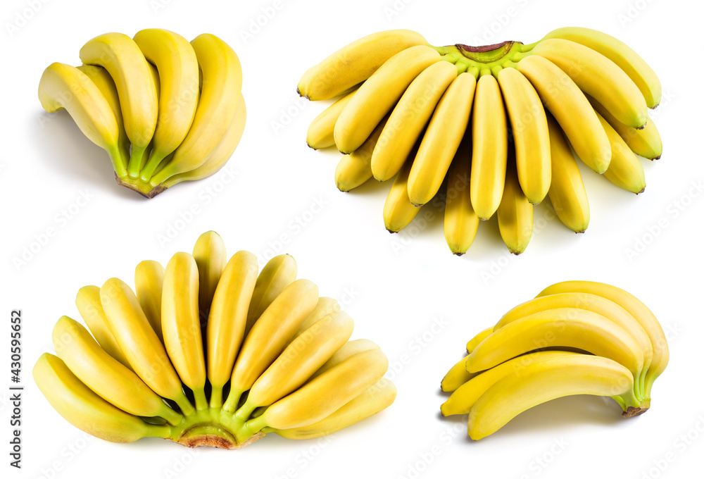 Banana isolated. Bananas on white. Bunch of baby bananas. Banana set, white background.