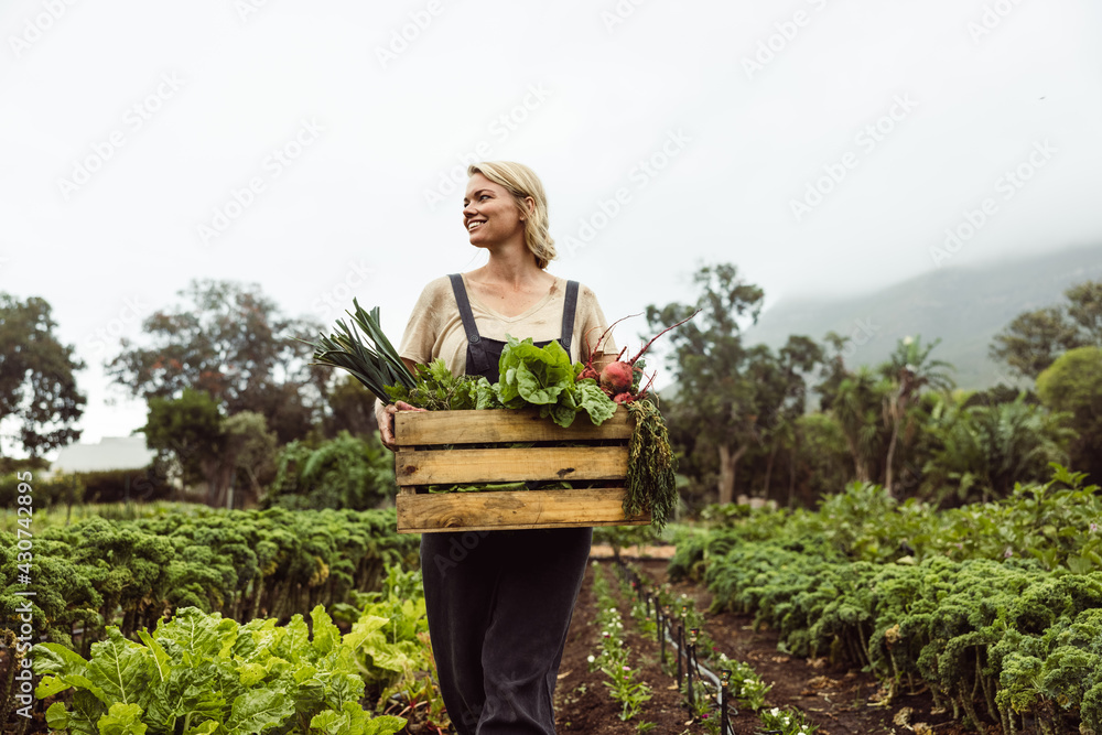 Green self-sufficient living