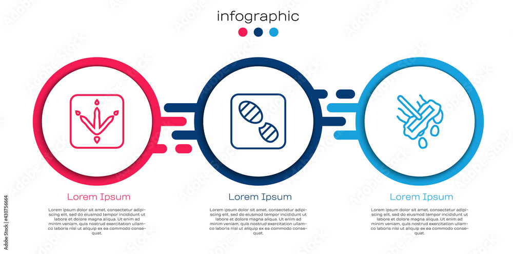 设定线鸡爪足迹、人类足迹鞋和拖把。商业信息图模板。Vecto