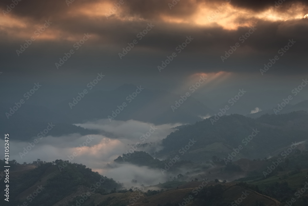 Fluffy sea of fog is covering a forest valley in a morning time