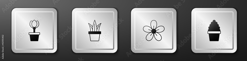 Set Flower tulip in pot, Plant, and Cactus peyote icon. Silver square button. Vector