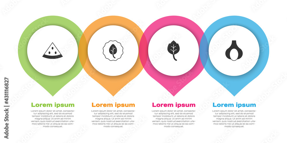 设置西瓜、叶子和大蒜。商业信息图模板。矢量