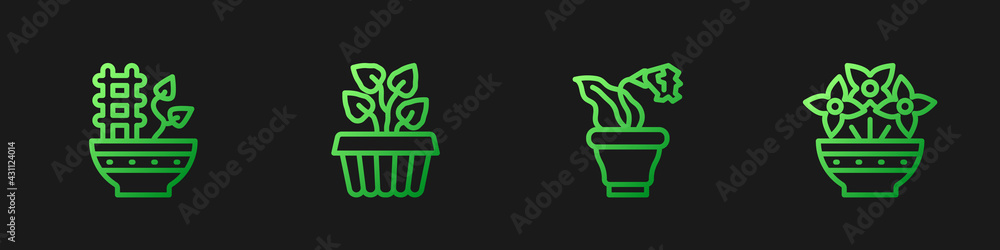 Set line Flower in pot, Plant, Indoor plant ivy and vase. Gradient color icons. Vector