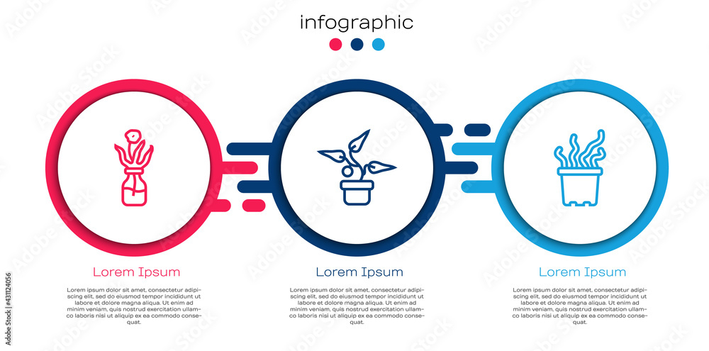 Set line Flower in glass bottle, Plant pot and Exotic tropical plant. Business infographic template.