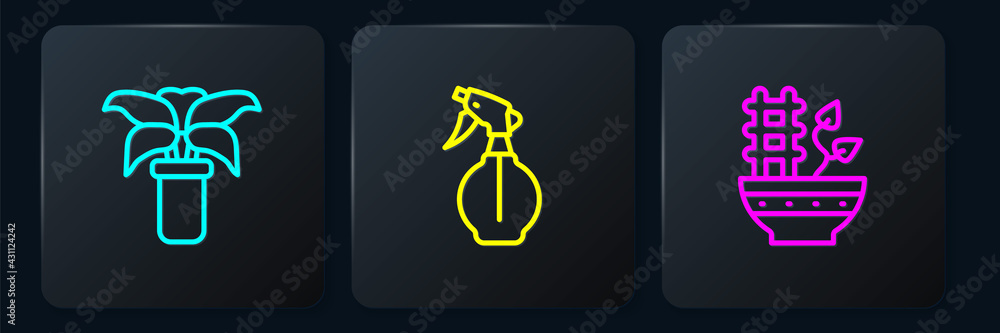 Set line Exotic tropical plant in pot, Plant and Water spray bottle. Black square button. Vector