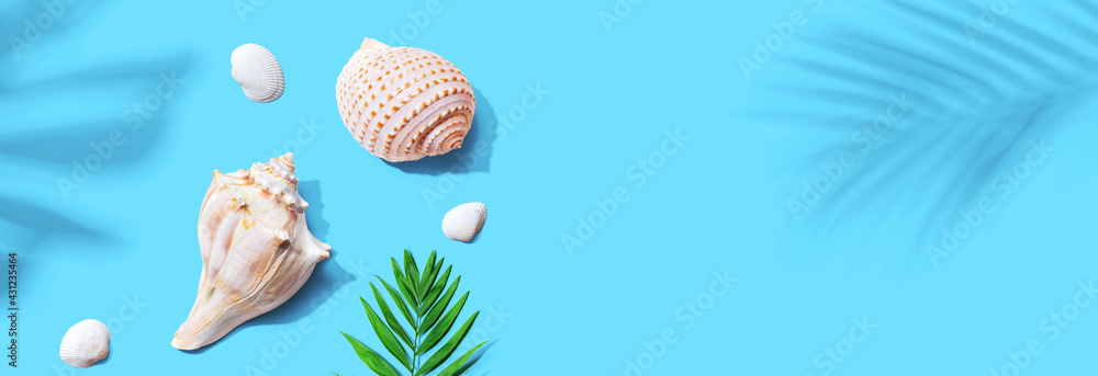 Summer concept with seashells and a palm leaf