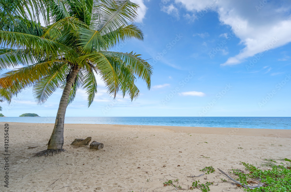 白色沙滩上椰子树的夏日背景景观自然景观浪漫的海洋ba