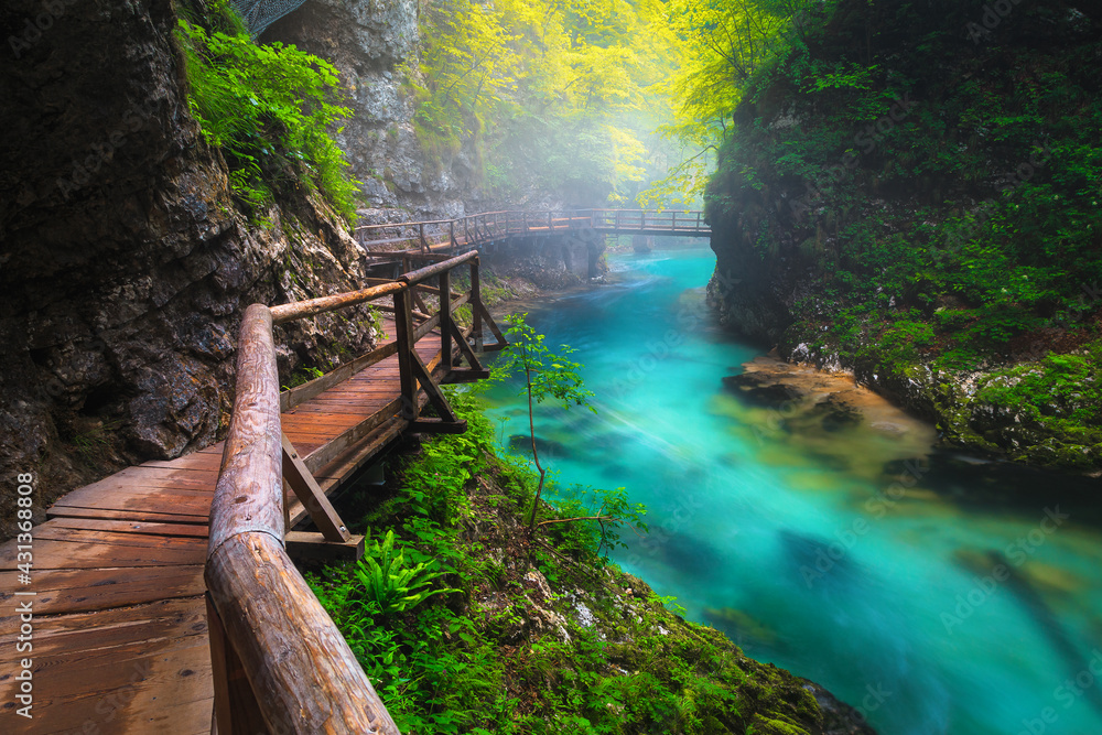 Picturesque foggy Vintgar gorge and Radovna river after rain, Slovenia