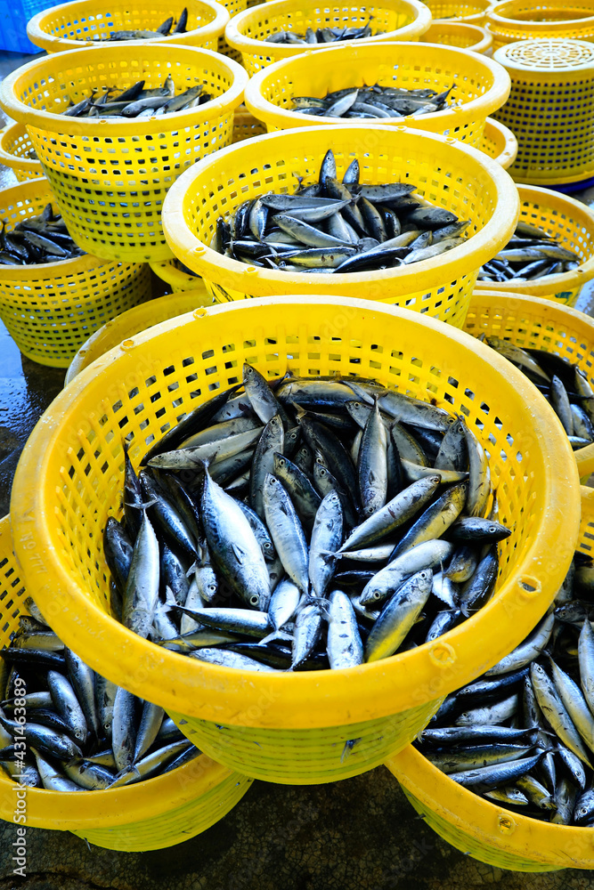 yellow basket of sardines in fisheries