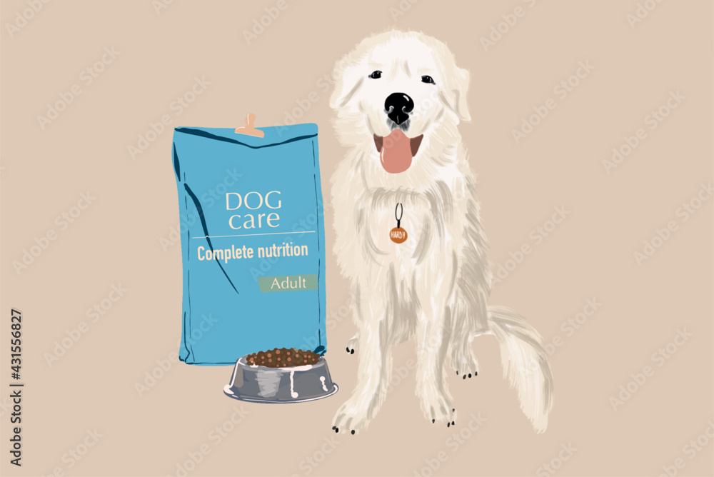 Domestic dog sitting next to full dry food bowl and bag package. Pet meal advertisement template. Fl