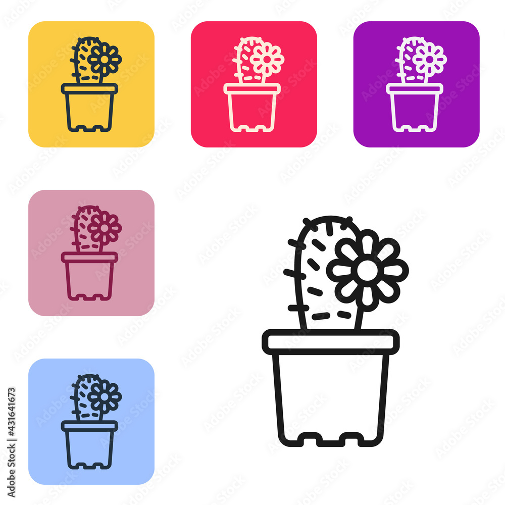 Black line Cactus peyote in pot icon isolated on white background. Plant growing in a pot. Potted pl