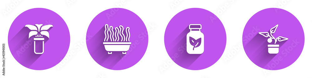 Set Exotic tropical plant in pot, Plant, Fertilizer bottle and icon with long shadow. Vector