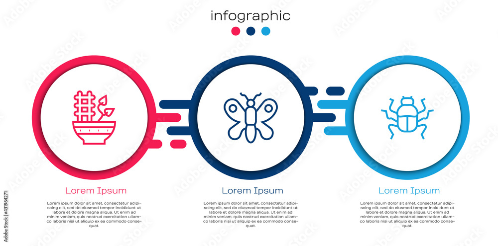 Set line Plant in pot, Butterfly and Beetle bug. Business infographic template. Vector