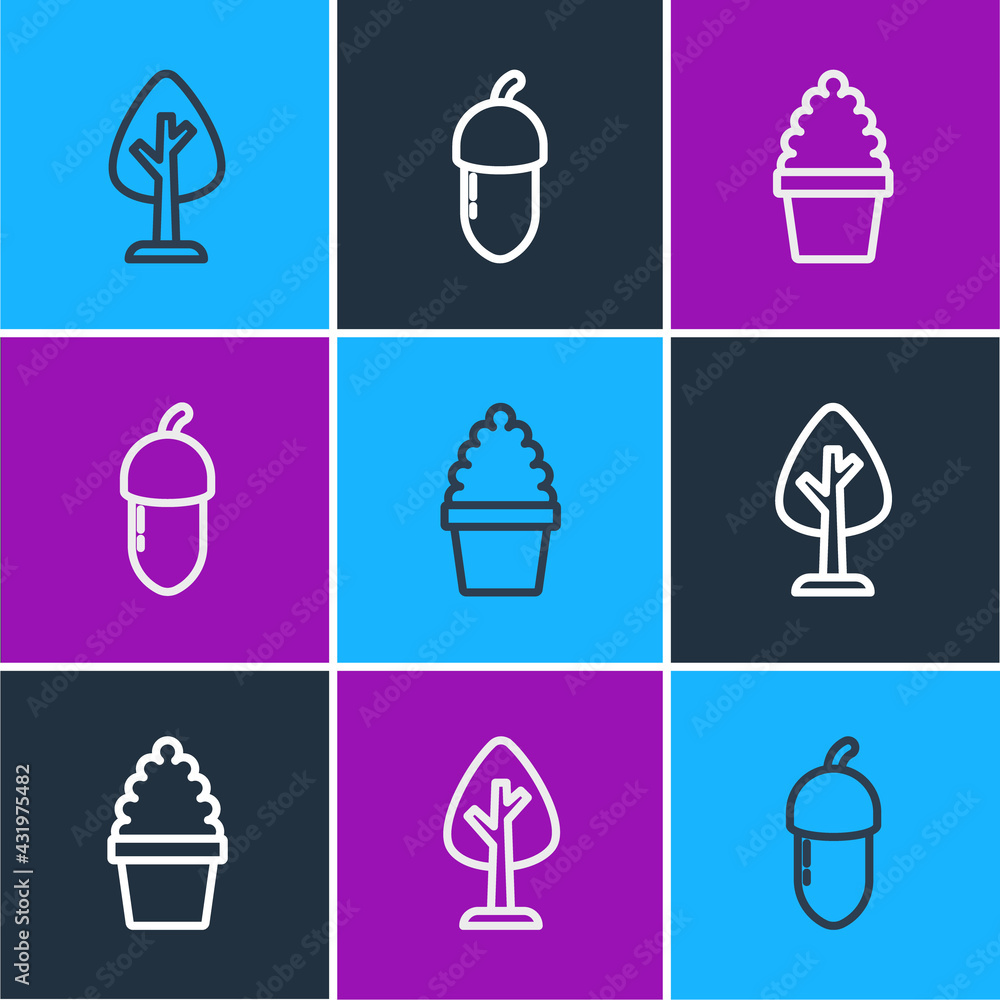 Set line Forest, Cactus peyote in pot and Acorn icon. Vector