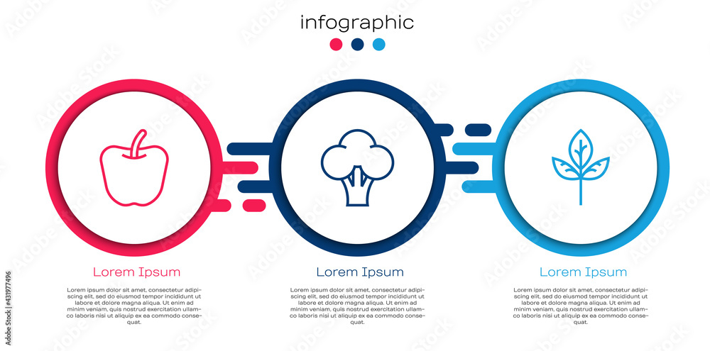 Set line Apple, Broccoli and Leaf or leaves. Business infographic template. Vector