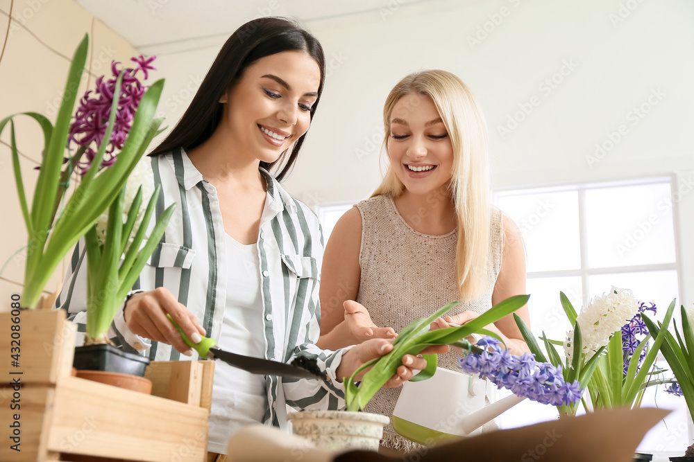 女性园丁在家照料植物