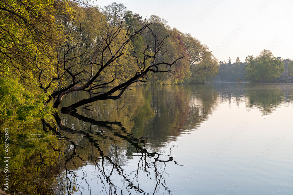 Paysage du Parc de la Tête dOr à Lyon en france au printemps