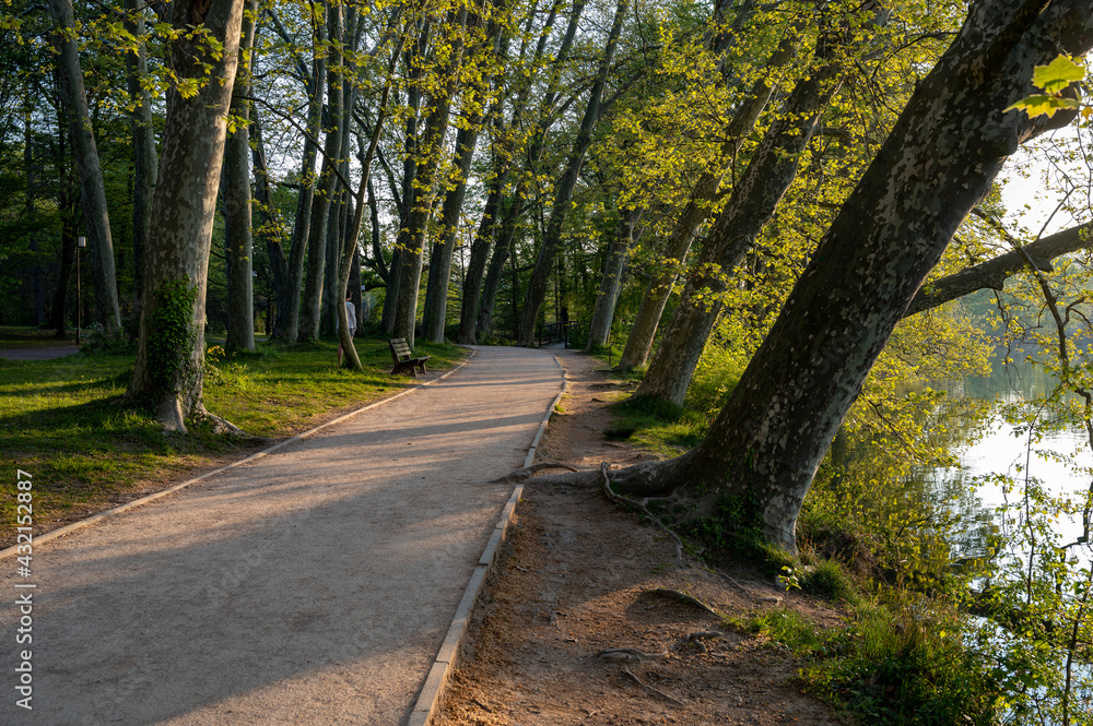 Paysage du Parc de la Tête dOr à Lyon en france au printemps