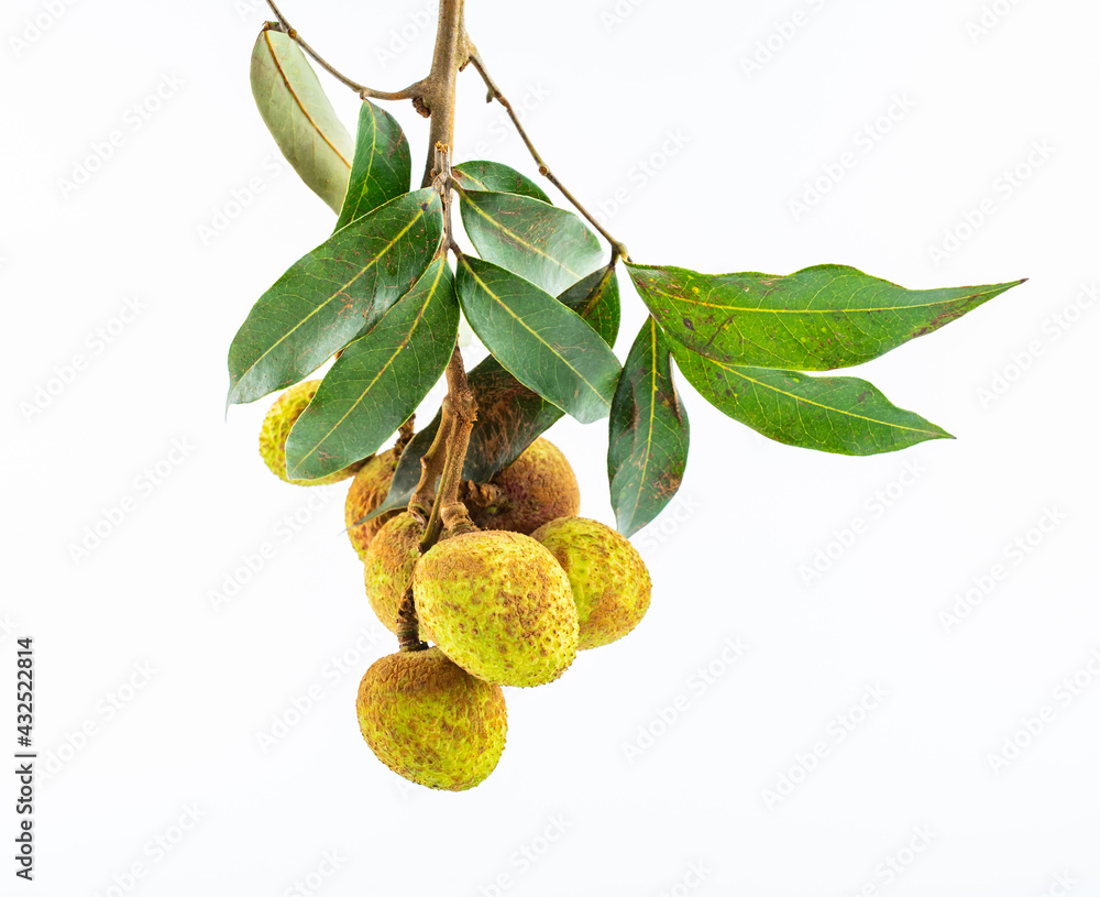 A bunch of fresh lychees on white background