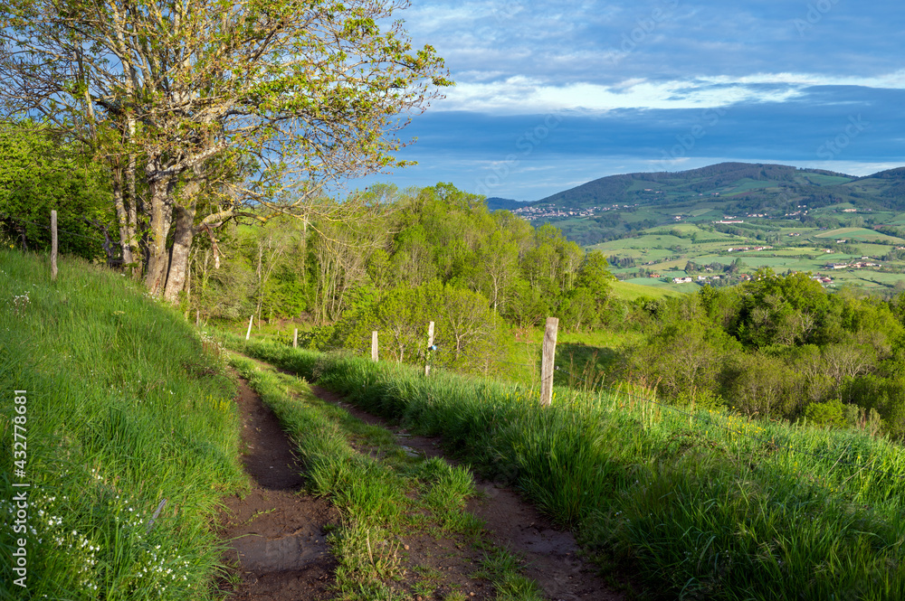 Paysage des Monts du Lyonnais dans le département du Rhône en France au printemps