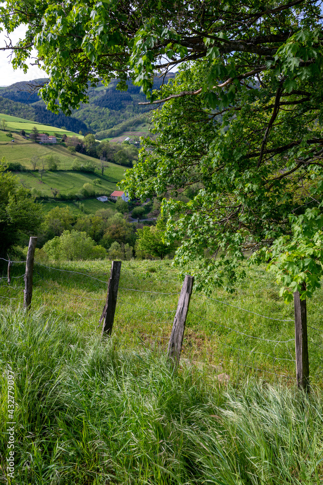 Paysage des Monts du Lyonnais dans le département du Rhône en France au printemps