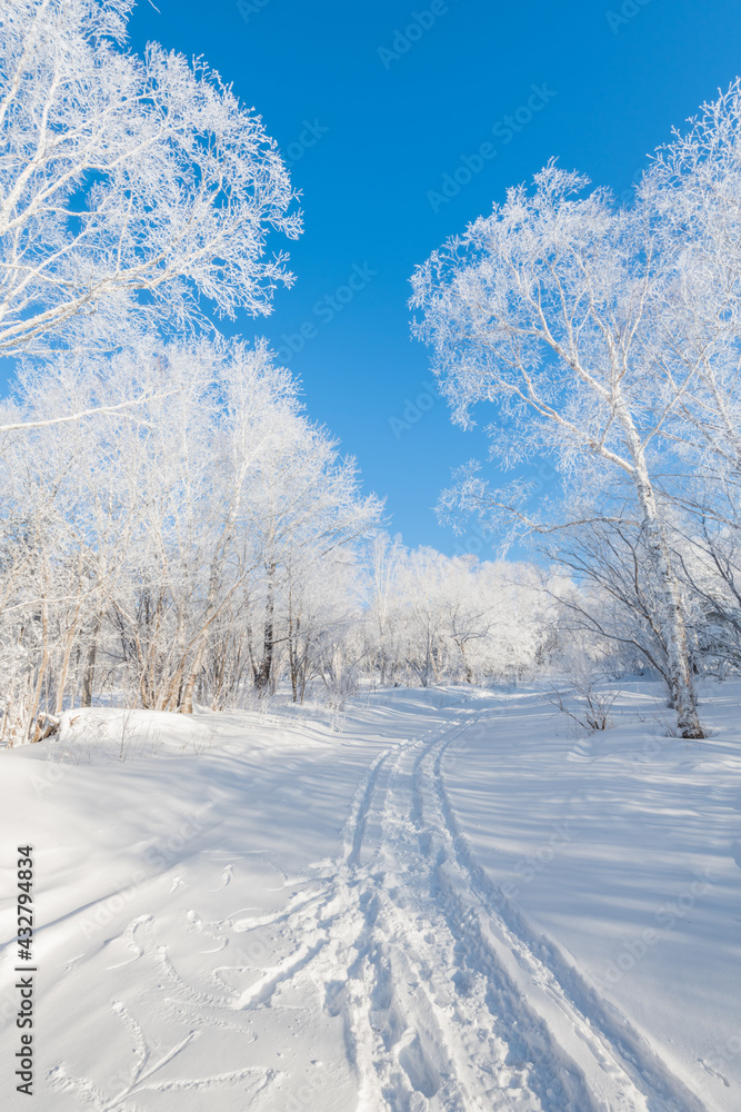 Snow and rime in winter in Changbai Mountain, Jilin Province, China