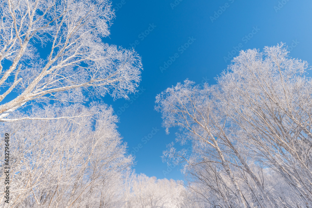 中国吉林省长白山冬季的雪和雾霾