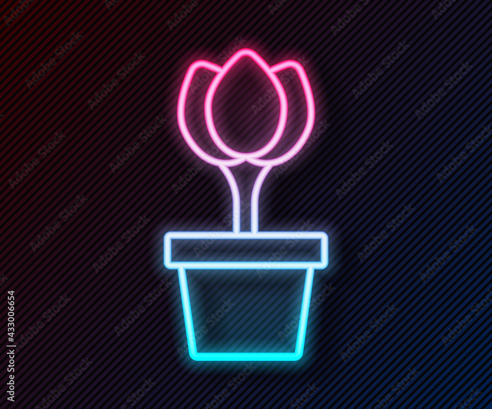 Glowing neon line Flower tulip in pot icon isolated on black background. Plant growing in a pot. Pot