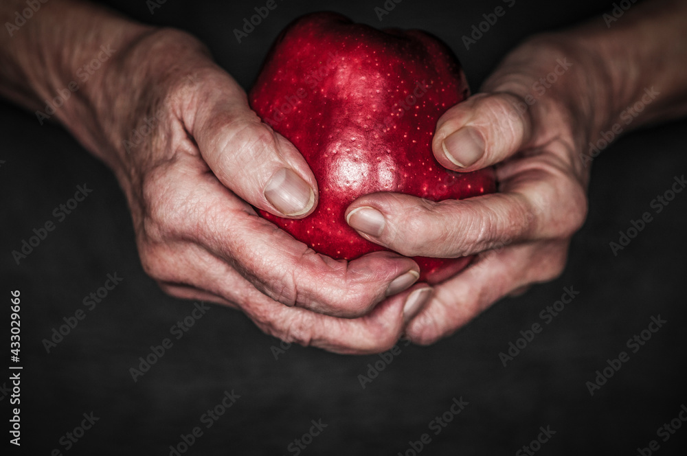 Hands hold a red apple / Hands of an old woman are holding a red apple in front of black background.