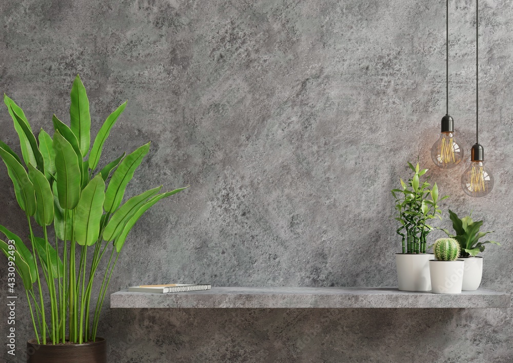 Interior wall mockup with green plant,Cement wall and shelf.