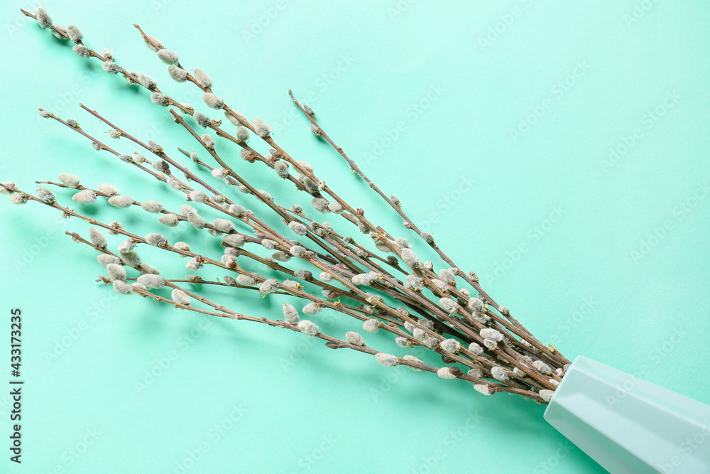 Vase with willow branches on color background