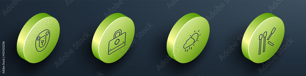 Set Isometric line Wild lion, First aid kit, Cloud with rain and Matches icon. Vector