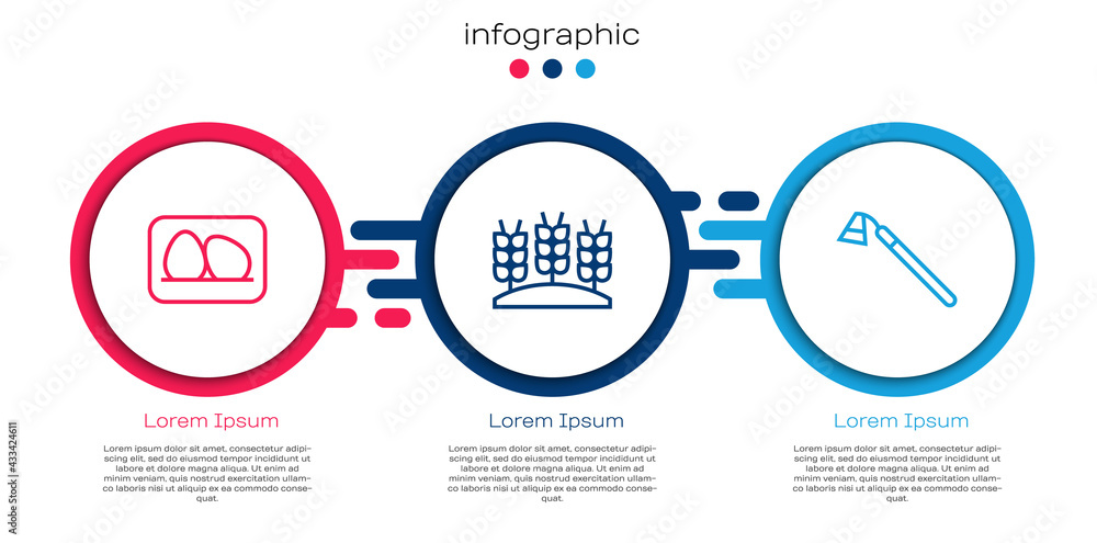 设定线鸡蛋、小麦和花园锄。商业信息图模板。矢量