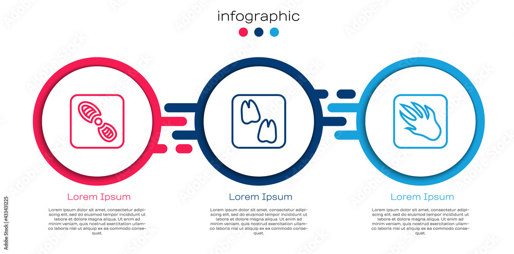 Set line Human footprints shoes, Camel paw and Alligator crocodile. Business infographic template. V