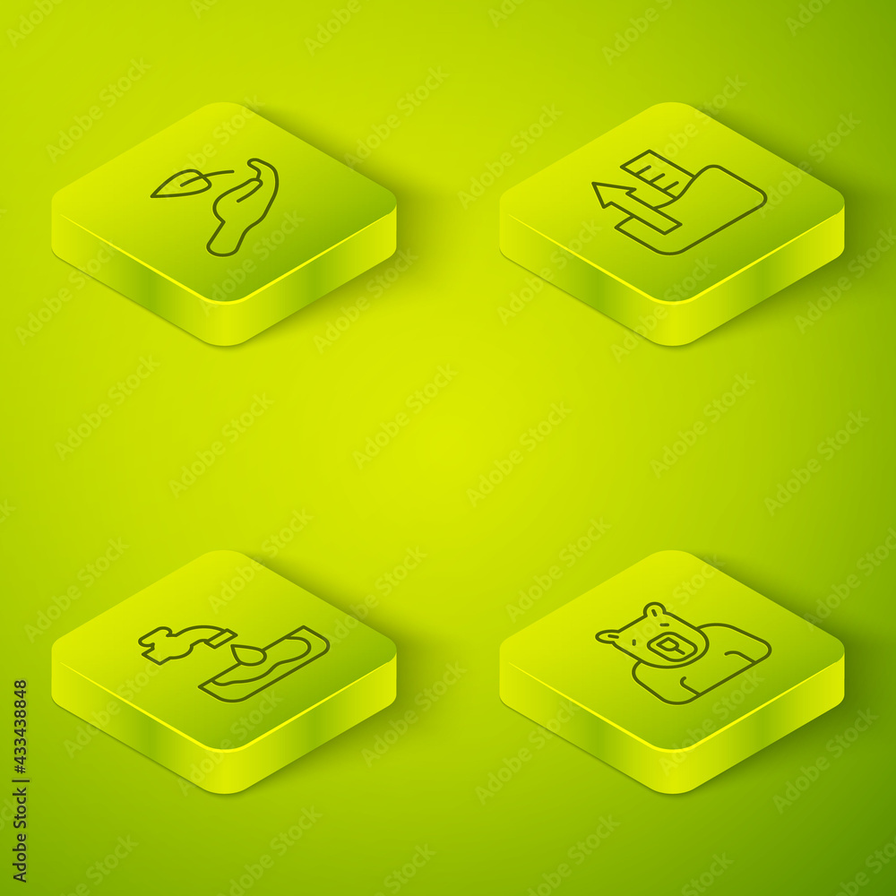 Set Isometric line Rise in water level, Water problem, Polar bear head and Sprout hand icon. Vector