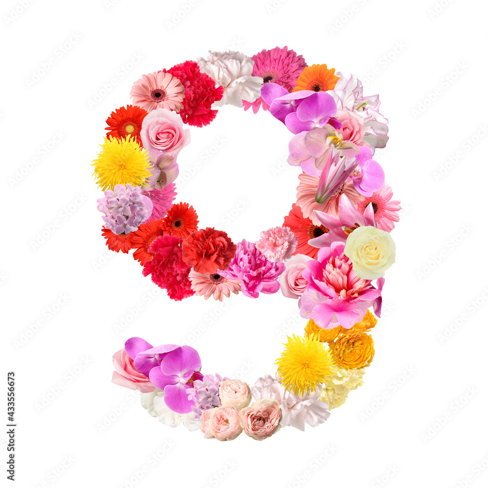 Figure 9 made of beautiful flowers on white background