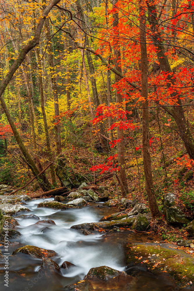 Smith Creek flowing from Anna Ruby Falls, Georgia, USA