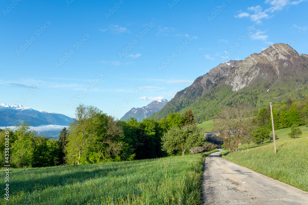 Paysage du Parc Naturel Régional des Bauges en Savoie en France dans les montagnes des Alpes