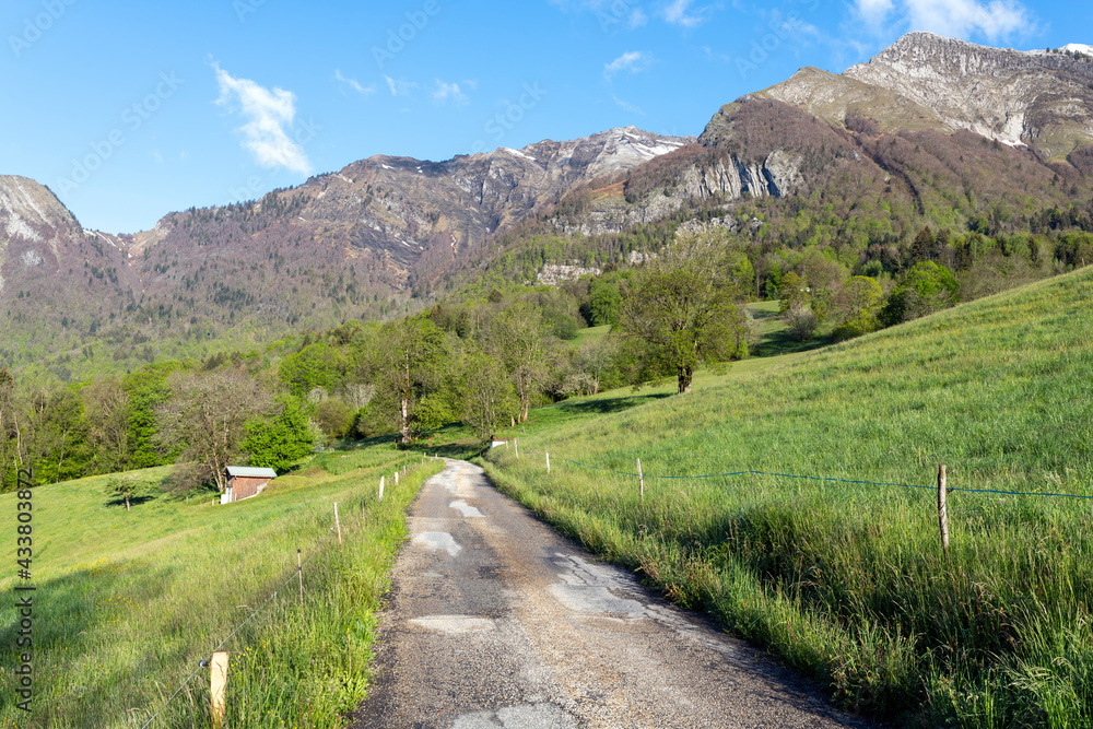 Paysage du Parc Naturel Régional des Bauges en Savoie en France dans les montagnes des Alpes