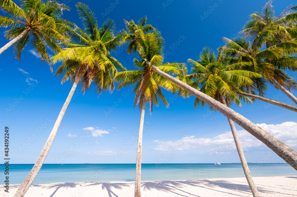 Beautiful tropical sand beach and coconut trees with blue sky in Thailand