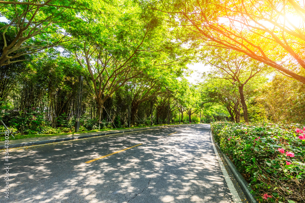 沥青路面和绿色森林景观。