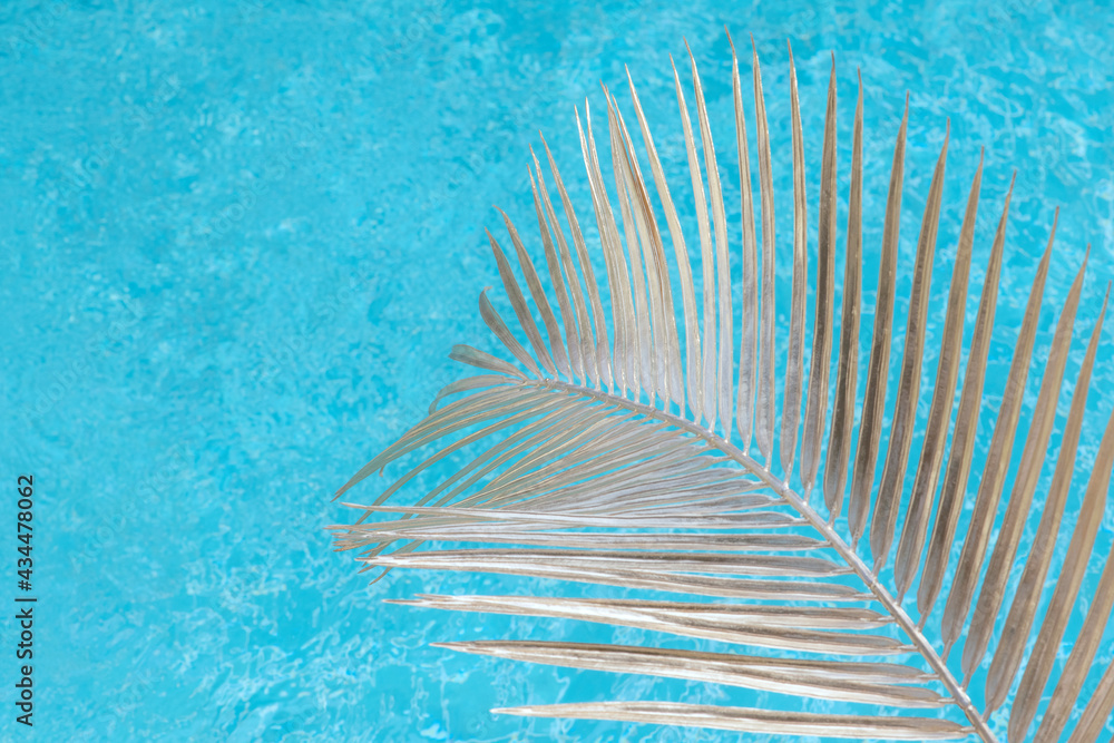 Swimming pool with palm leaf in sunlight