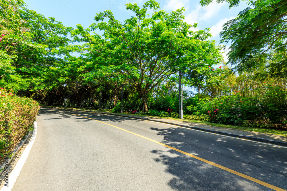 Asphalt road and green forest scenery.