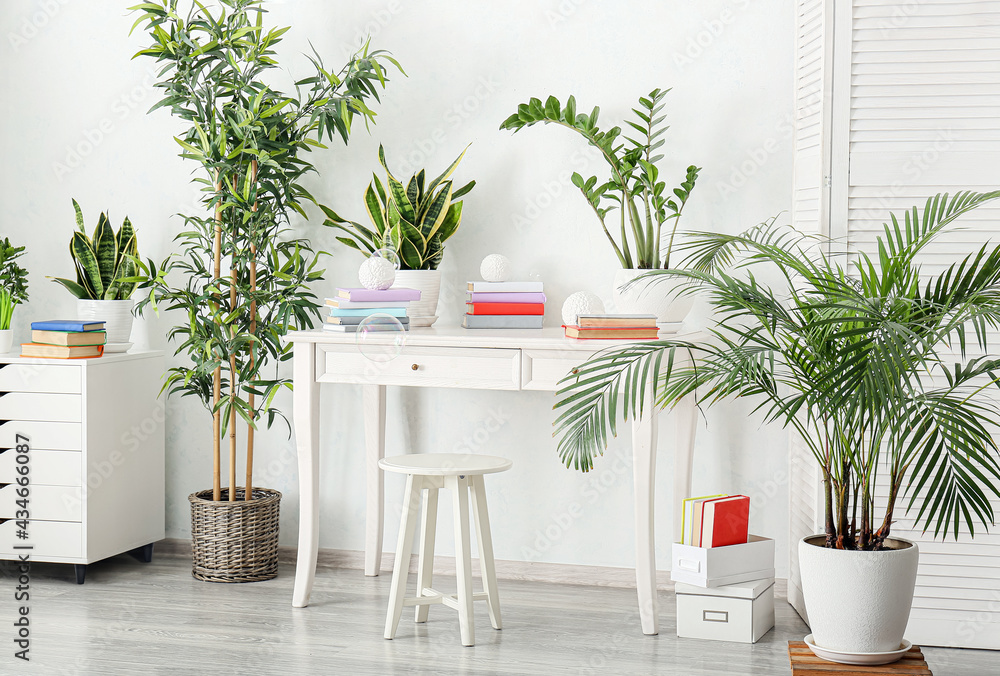 Books on table and houseplants in interior of light room