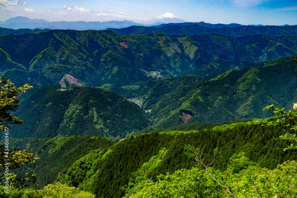 馬頭刈尾根からの眺望　富士山と檜原村