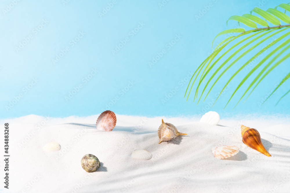 Summer background with sand seashell and palm tree