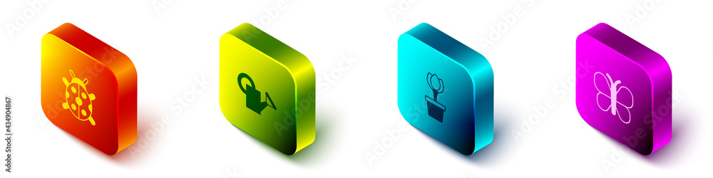 Set Isometric Ladybug, Watering can, Flower tulip pot and Butterfly icon. Vector