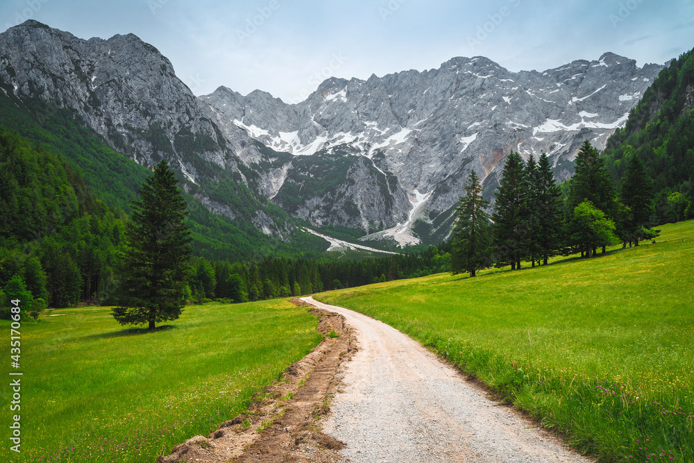 Beautiful summer landscape with flowery fields and snowy mountains, Slovenia