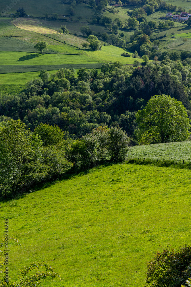 Paysage de montagne dans les environs de Montromant dans les Monts du Lyonnais en France au printemp