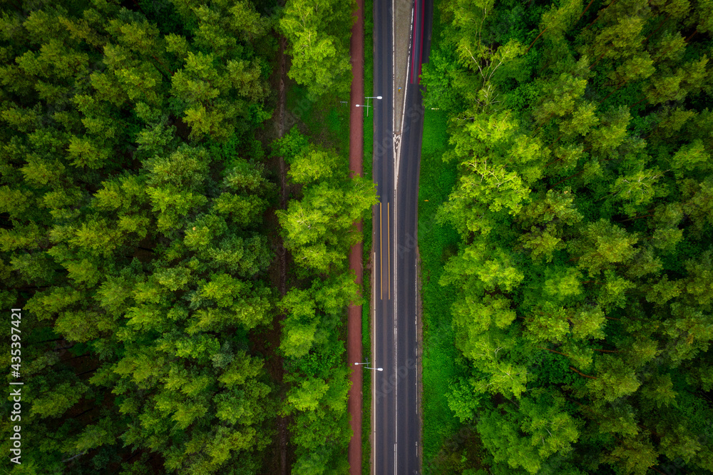 Aerial top view of the road through the green forest in the summer.